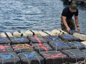 Vers un nouveau record de saisies de cocaïne en France en 2025, dont la moitié a transité par les Antilles