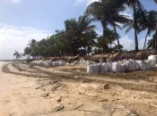 En Guyane, les acteurs publics s'organisent face à l'érosion et la montée des eaux