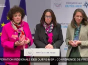 La délégation sénatoriale aux Outre-mer fait 20 propositions pour lever les freins et accélérer la coopération et intégration régionale des Antilles-Guyane