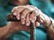 EXPERTISE. À La Réunion, impacts et conséquences d’un vieillissement démographique accéléré