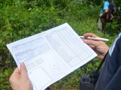 À Mayotte, une association dresse pour la première fois un inventaire inédit sur des oiseaux terrestres