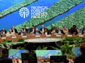 A la COP30 de Belem, les dirigeants constatent l'échec sur l'accord de Paris et appellent au sursaut