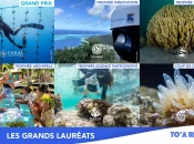 Palmarès des TO’A Reef 2025 : Le numérique et les traditions au service des récifs