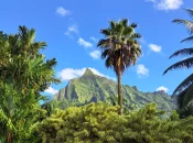 Tourisme en Outre-mer : un secteur stratégique de développement local, notamment dans le cadre d’un « tourisme durable », selon la Cour des comptes