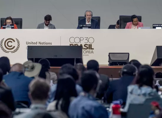 COP30: le casse-tête du Brésil pour accommoder les exigences des pays