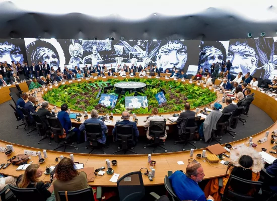 La Turquie et l'Australie s'accordent sur le partage des tâches pour la COP31