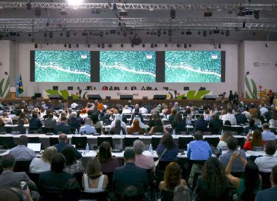 COP30 : En Amazonie, le monde se contente d'une preuve de vie de la coopération climatique