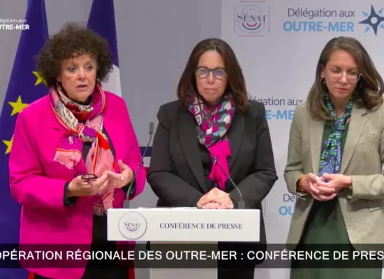 La délégation sénatoriale aux Outre-mer fait 20 propositions pour lever les freins et accélérer la coopération et intégration régionale des Antilles-Guyane
