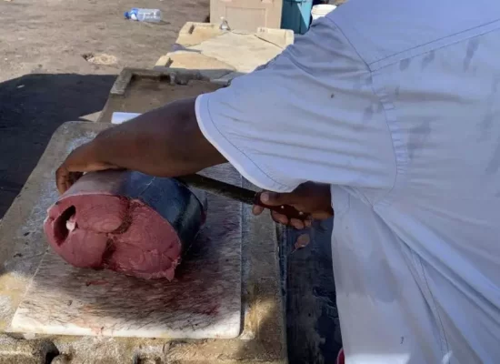 Mayotte : Barques Comarine, futur comité des pêches, les pêcheurs débattent de l'avenir de la filière