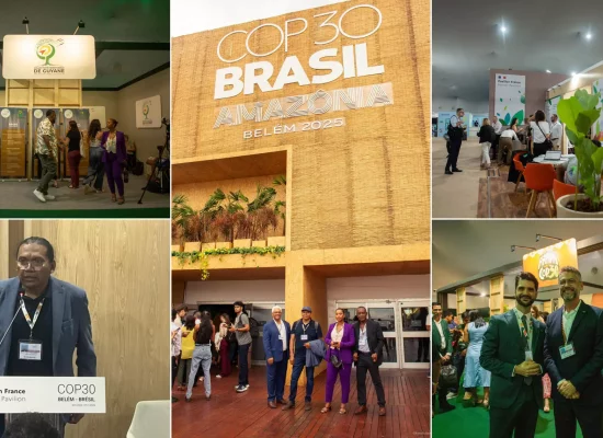 COP30 à Belém, une « opportunité diplomatique » pour la Guyane
