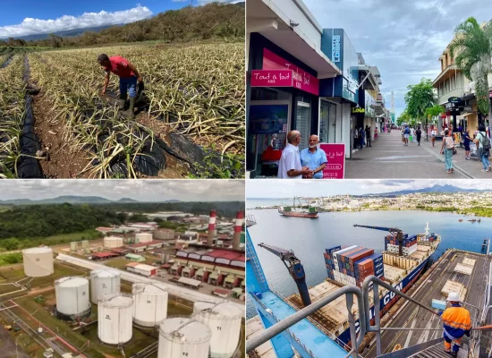 TPE-PME d’Outre-mer et de Corse : des trajectoires économiques contrastées au 3ᵉ trimestre 2025 selon l’observatoire de la profession comptable