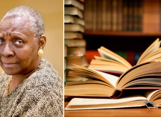 Sept autrices et auteurs primés à la 22ème édition du Prix littéraire Fetkann ! Maryse Condé « Mémoire des Pays du sud, Mémoire de l’Humanité »