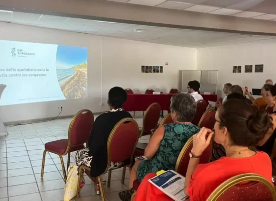 L’IFRECOR constate un état des lieux alarmant des récifs coralliens en Martinique