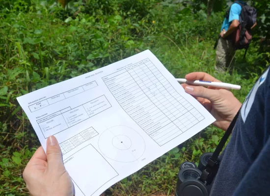 À Mayotte, une association dresse pour la première fois un inventaire inédit sur des oiseaux terrestres