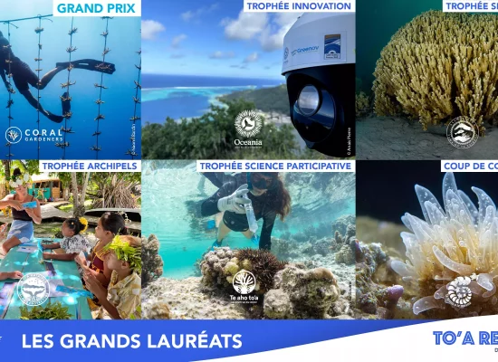 Palmarès des TO’A Reef 2025 : Le numérique et les traditions au service des récifs