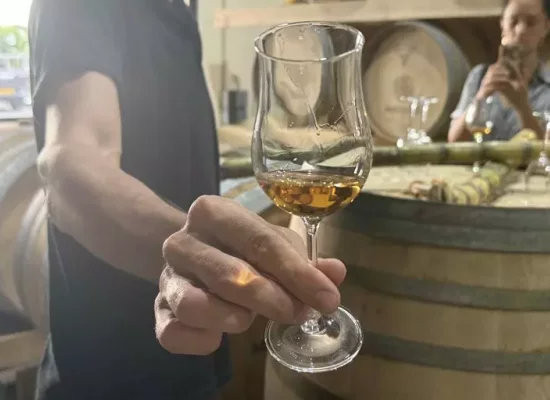 En Polynésie, un premier festival d’ambitions pour la filière locale du rhum