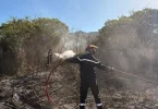 Quarante militaires envoyés en renfort en Nouvelle-Calédonie, touchée par d'importants feux de forêt
