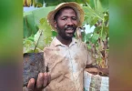 À Mayotte, l’exploitant agricole Anfane Said cultive Zatru Mila, une révolution verte et enracinée