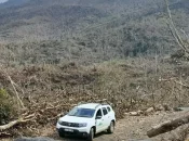 Mayotte : Un an après le cyclone Chido, l’ONF dresse un état des lieux et renforce la restauration des forêts mahoraises