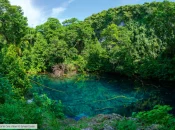 Les mangroves de Nouvelle-Calédonie et de Wallis menacées, selon la Liste rouge des écosystèmes en France
