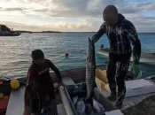 Polynésie : A Manihi, le Rahui a redonné vie au lagon