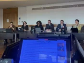 Stratégie chlordécone : un comité de pilotage national pour accélérer les actions en 2026