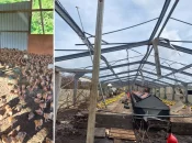 À Mayotte, un an après le cyclone Chido, l'éleveur Abdallah Mhamadi se bat pour faire revivre son exploitation dévastée