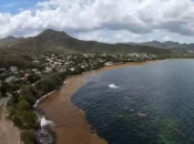 En Martinique, 2025, une année record d’échouements de sargasses selon Météo-France