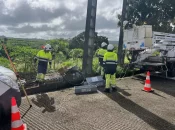 Martinique :  EDF modernise son réseau électrique en misant sur l'intelligence artificielle