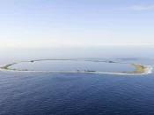 Biodiversité : la LPO alerte sur « l'urgence » d'éradiquer les rats à Clipperton