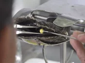 Polynésie : Dans l’archipel des Tuamotu, la perle noire de l’atoll de Manihi, un pilier de l’économie sous tension