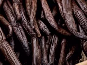 Vanille de Tahiti : l'IGP passe bientôt en enquête publique