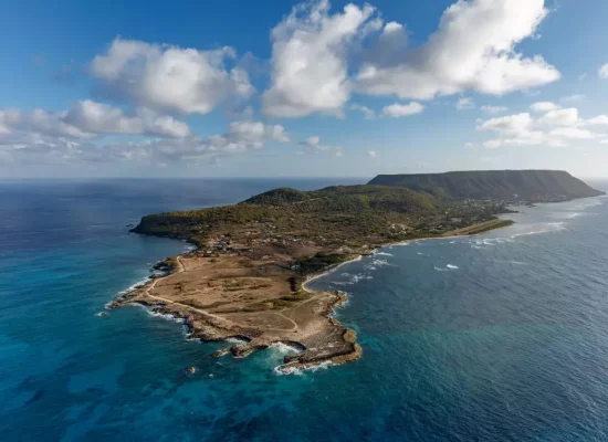 Biodiversité en Guadeloupe: plus d'une centaine de nouvelles espèces découvertes lors d'une expédition scientifique