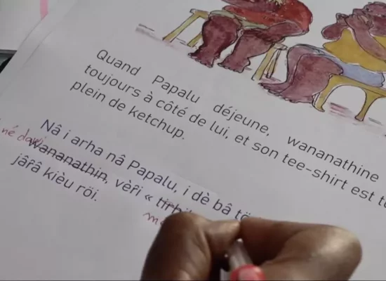 Nouvelle-Calédonie :&nbsp;L’Académie des langues kanak, avec l'appui de la Province Sud, met en place des outils pédagogiques pour préserver la langue&nbsp;‘ôr̂ôê