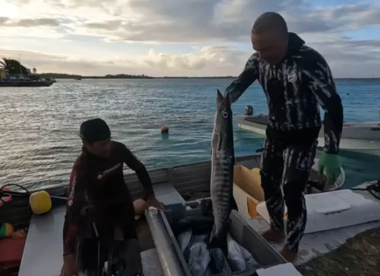 Polynésie : A Manihi, le Rahui a redonné vie au lagon