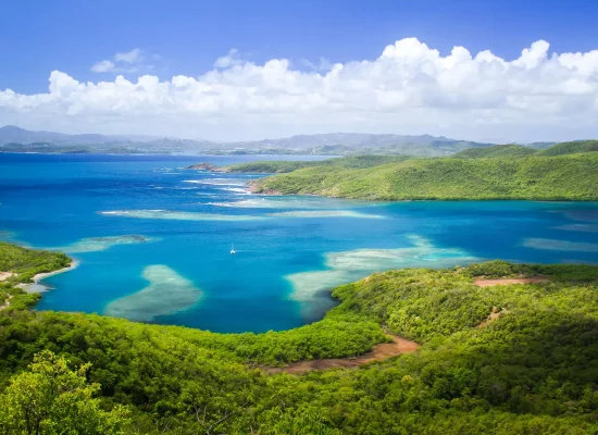 Martinique : la réserve naturelle de la presqu’île de la Caravelle étendue avec l’intégration de la Baie du Trésor