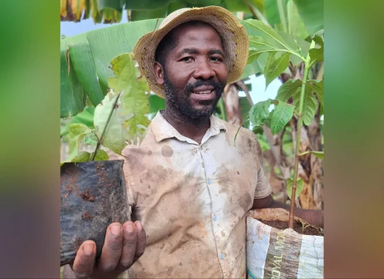 À Mayotte, l’exploitant agricole Anfane Said cultive Zatru Mila, une révolution verte et enracinée