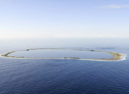 Biodiversité : la LPO alerte sur « l'urgence » d'éradiquer les rats à Clipperton