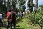 La Collectivité territoriale de Guyane initie un rapprochement entre production locale et restauration scolaire avec le « Food Tour »