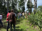 La Collectivité territoriale de Guyane initie un rapprochement entre production locale et restauration scolaire avec le « Food Tour »