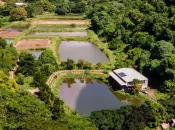 Martinique : L’Assemblée locale adopte la création d’une autorité unique de l’eau et de l’assainissement