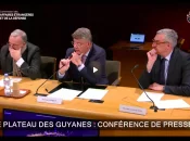 Plateau des Guyanes : Face à l’orpaillage illégal, aux appétits de la Chine et des États-Unis, la France doit développer sa coopération régionale, estime un rapport sénatorial