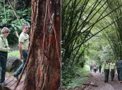 La directrice générale de l'ONF Valérie Metrich-Hecquet marque le 60e anniversaire de l'Office National des forêts avec une visite en Martinique