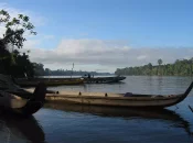 Guyane: une pirogue chavire sur le fleuve Maroni, quatre disparus