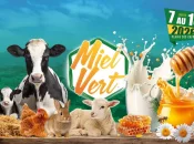 La Réunion : Douze jours d’ambiance et de fête autour de la 42ème édition de Miel Vert à la Plaine des Cafres au Tampon