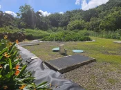 Martinique : Un forum technique régional pour engager la deuxième phase du projet CARIBSAN, sur les enjeux d'assainissement des eaux usées