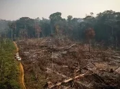 Amazonie - Guyane : les enjeux sécuritaires des bouleversements climatiques et de la déforestation