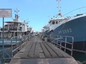 Pêche : Malgré des filets remplis en 2024 en Polynésie, l’export est à la traîne