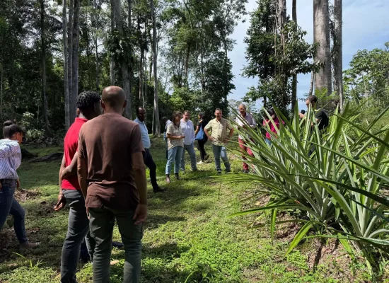La Collectivité territoriale de Guyane initie un rapprochement entre production locale et restauration scolaire avec le « Food Tour »