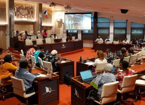 Nouvelle-Calédonie : Le Congrès de l’archipel demande à l’État de déclarer l’urgence sociale